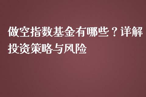 做空指数基金有哪些？详解投资策略与风险_https://cj002.lansai.wang_保险问答_第1张