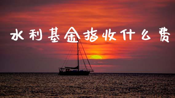 水利基金指收什么费_https://cj002.lansai.wang_会计问答_第1张