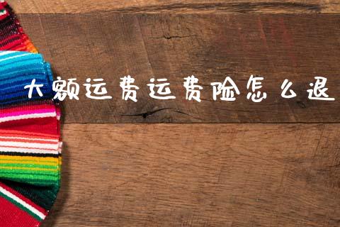 大额运费运费险怎么退_https://cj002.lansai.wang_保险问答_第1张