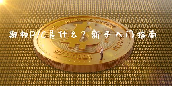 期权P/C是什么？新手入门指南_https://cj002.lansai.wang_股市问答_第1张
