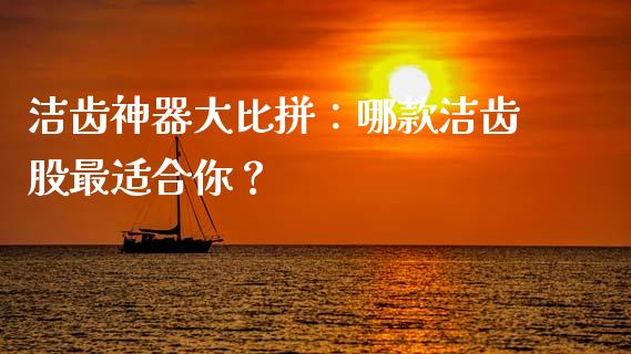 洁齿神器大比拼：哪款洁齿股最适合你？_https://cj002.lansai.wang_财经问答_第1张