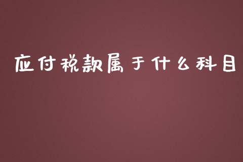 应付税款属于什么科目_https://cj002.lansai.wang_会计问答_第1张