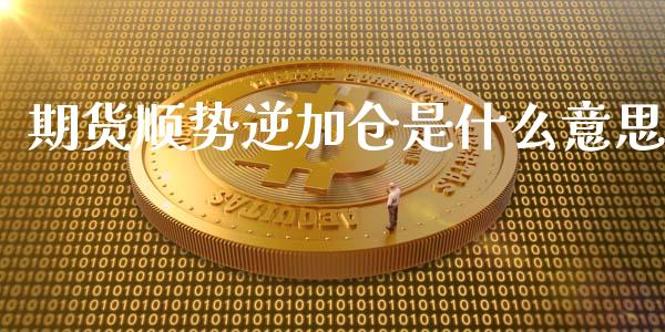 期货顺势逆加仓是什么意思_财经百问_第1张_财经百问网 期货顺势逆加仓是什么意思_https://cj002.lansai.wang_财经百问_第1张