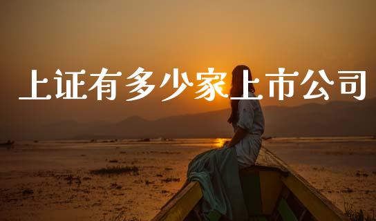 上证有多少家上市公司_https://cj002.lansai.wang_会计问答_第1张
