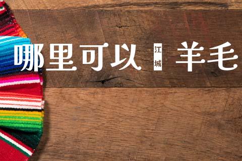 哪里可以薅羊毛_https://cj002.lansai.wang_股市问答_第1张