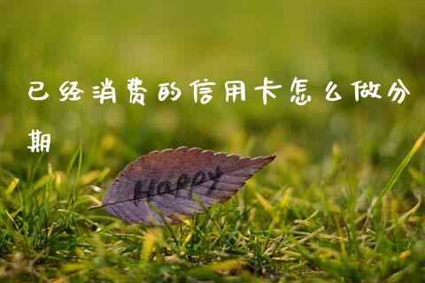 已经消费的信用卡怎么做分期_https://cj002.lansai.wang_金融问答_第1张