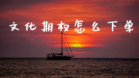 文化期权怎么下单_https://cj002.lansai.wang_财经问答_第1张