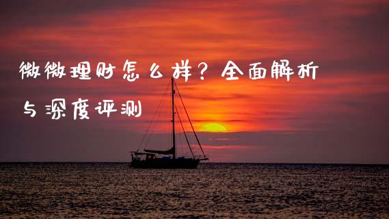 微微理财怎么样？全面解析与深度评测_https://cj002.lansai.wang_金融问答_第1张