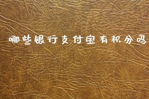哪些银行支付宝有积分吗_https://cj002.lansai.wang_理财问答_第1张