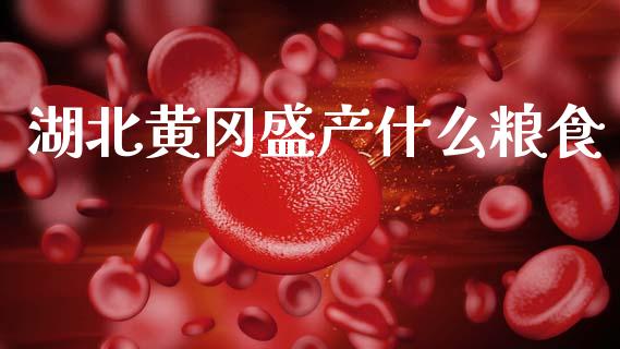 湖北黄冈盛产什么粮食_https://cj002.lansai.wang_期货问答_第1张