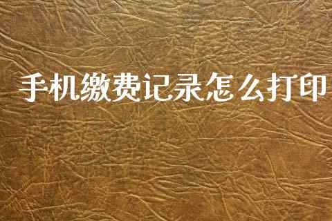 手机缴费记录怎么打印_https://cj002.lansai.wang_保险问答_第1张