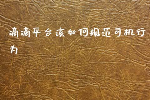 滴滴平台该如何规范司机行为_https://cj002.lansai.wang_理财问答_第1张