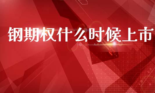 钢期权什么时候上市_https://cj002.lansai.wang_股市问答_第1张