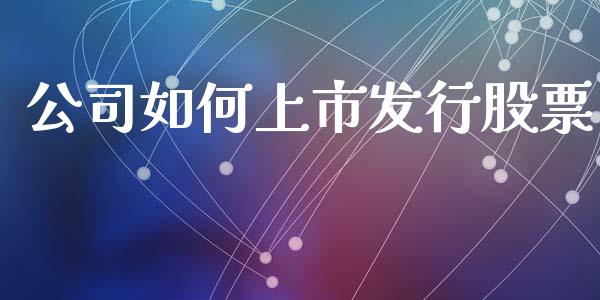 公司如何上市发行股票_金融问答_第1张_财经百问网 公司如何上市发行股票_https://cj002.lansai.wang_金融问答_第1张
