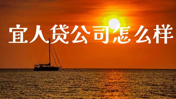 宜人贷公司怎么样_https://cj002.lansai.wang_理财问答_第1张