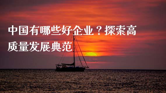 中国有哪些好企业？探索高质量发展典范_https://cj002.lansai.wang_期货问答_第1张