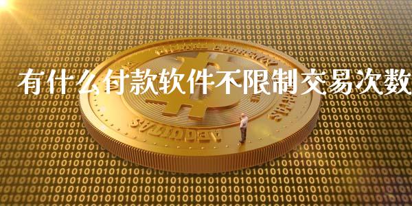 有什么付款软件不限制交易次数_https://cj002.lansai.wang_会计问答_第1张