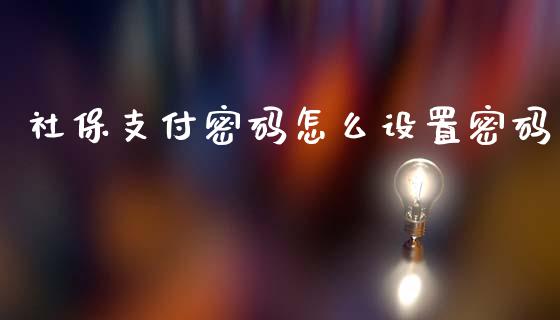 社保支付密码怎么设置密码_https://cj002.lansai.wang_保险问答_第1张