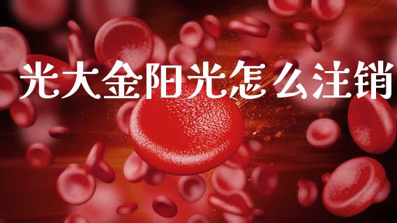 光大金阳光怎么注销_https://cj002.lansai.wang_股市问答_第1张