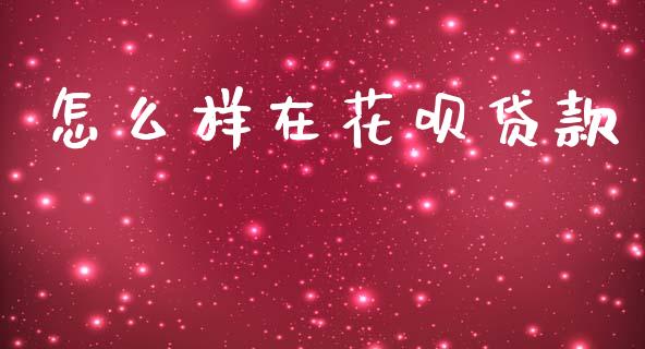 怎么样在花呗贷款_https://cj002.lansai.wang_理财问答_第1张
