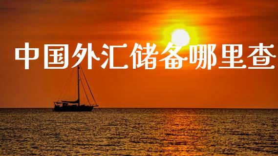 中国外汇储备哪里查_https://cj002.lansai.wang_财经问答_第1张