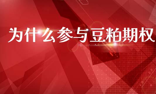 为什么参与豆粕期权_https://cj002.lansai.wang_理财问答_第1张