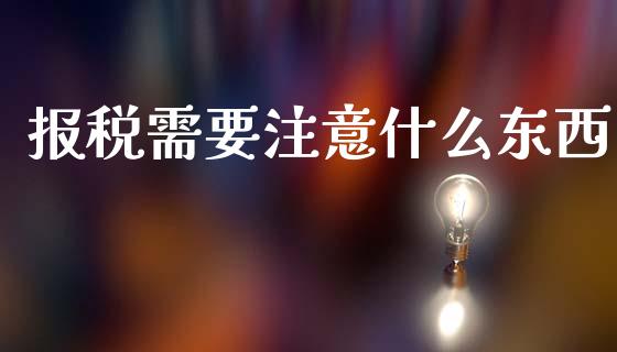 报税需要注意什么东西_https://cj002.lansai.wang_会计问答_第1张