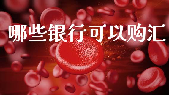 哪些银行可以购汇_https://cj002.lansai.wang_理财问答_第1张