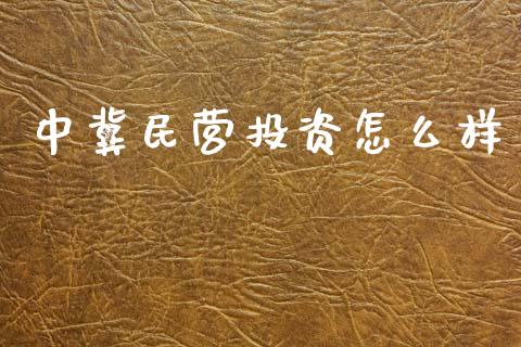 中冀民营投资怎么样_https://cj002.lansai.wang_财经百问_第1张