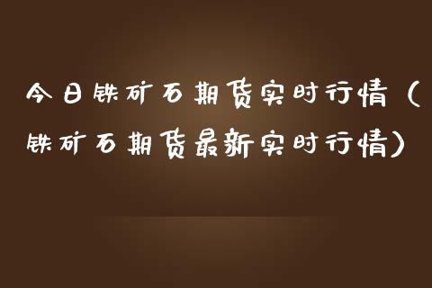 今日铁矿石期货实时行情（铁矿石期货最新实时行情）_https://cj002.lansai.wang_期货问答_第1张