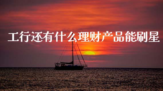 工行还有什么理财产品能刷星_https://cj002.lansai.wang_金融问答_第1张