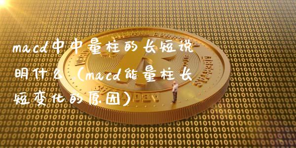 macd中中量柱的长短说明什么（macd能量柱长短变化的原因）_https://cj002.lansai.wang_财经百问_第1张