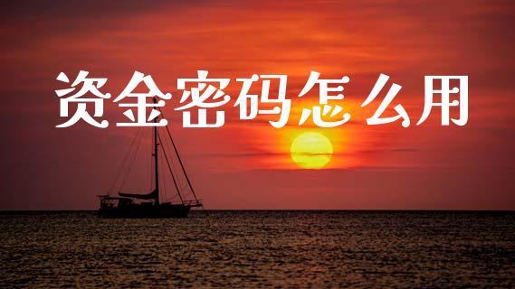 资金密码怎么用_https://cj002.lansai.wang_期货问答_第1张