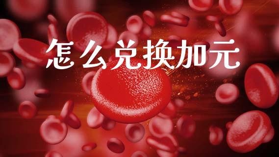 怎么兑换加元_https://cj002.lansai.wang_财经问答_第1张