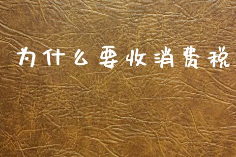 为什么要收消费税_https://cj002.lansai.wang_会计问答_第1张