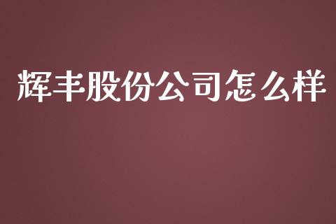 辉丰股份公司怎么样_https://cj002.lansai.wang_股市问答_第1张