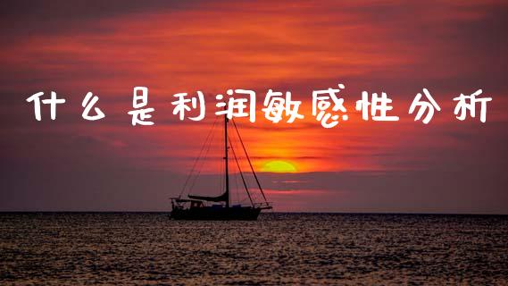 什么是利润敏感性分析_https://cj002.lansai.wang_会计问答_第1张