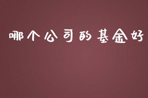 哪个公司的基金好_https://cj002.lansai.wang_期货问答_第1张