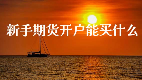 新手期货开户能买什么_https://cj002.lansai.wang_保险问答_第1张