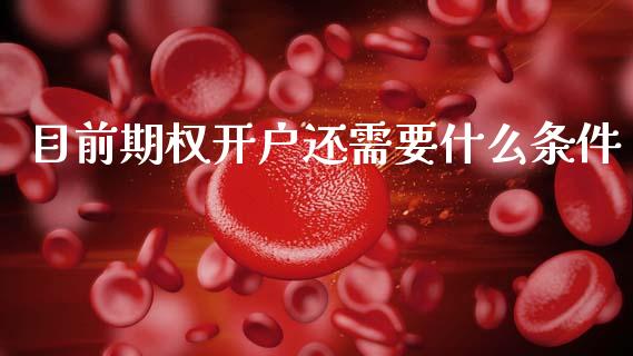 目前期权开户还需要什么条件_https://cj002.lansai.wang_期货问答_第1张