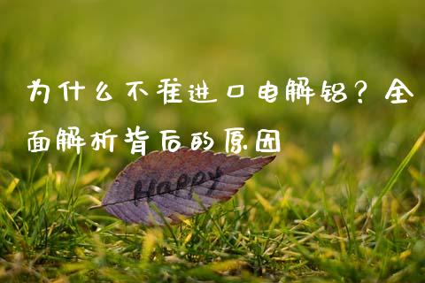 为什么不准进口电解铝？全面解析背后的原因_https://cj002.lansai.wang_理财问答_第1张