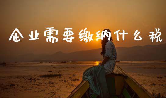 企业需要缴纳什么税_https://cj002.lansai.wang_会计问答_第1张