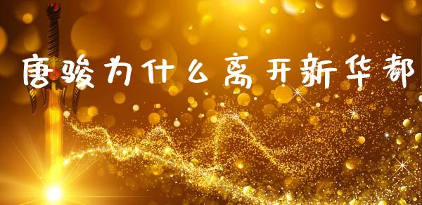 唐骏为什么离开新华都_https://cj002.lansai.wang_金融问答_第1张