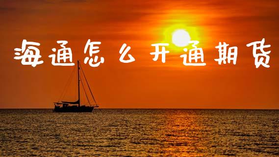 海通怎么开通期货_https://cj002.lansai.wang_会计问答_第1张