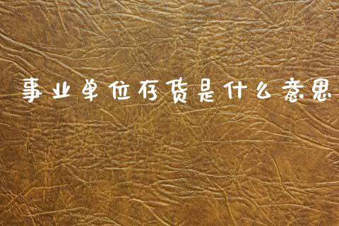 事业单位存货是什么意思_https://cj002.lansai.wang_会计问答_第1张