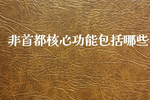 非首都核心功能包括哪些_https://cj002.lansai.wang_金融问答_第1张