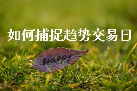 如何捕捉趋势交易日_https://cj002.lansai.wang_财经百问_第1张