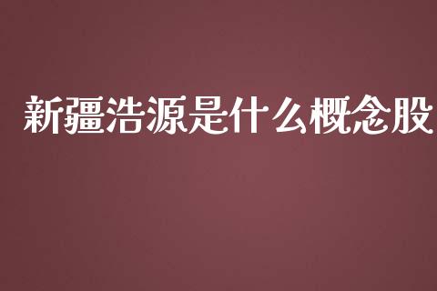 新疆浩源是什么概念股_https://cj002.lansai.wang_期货问答_第1张