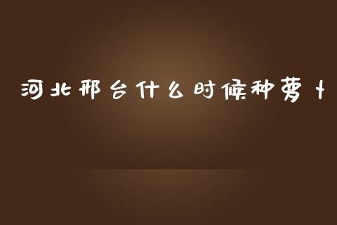 河北邢台什么时候种萝卜_股市问答_第1张_财经百问网 河北邢台什么时候种萝卜_https://cj002.lansai.wang_股市问答_第1张