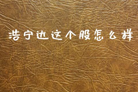 浩宁达这个股怎么样_https://cj002.lansai.wang_财经百问_第1张